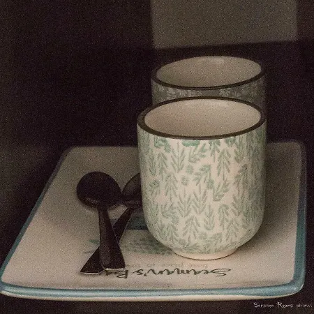 Sarzana's 招待所 萨尔扎纳